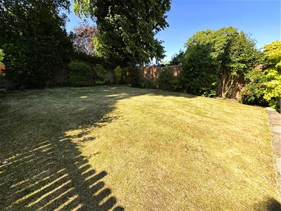 Picture 3